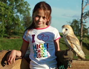 Falconry UK Birds of Prey Centre