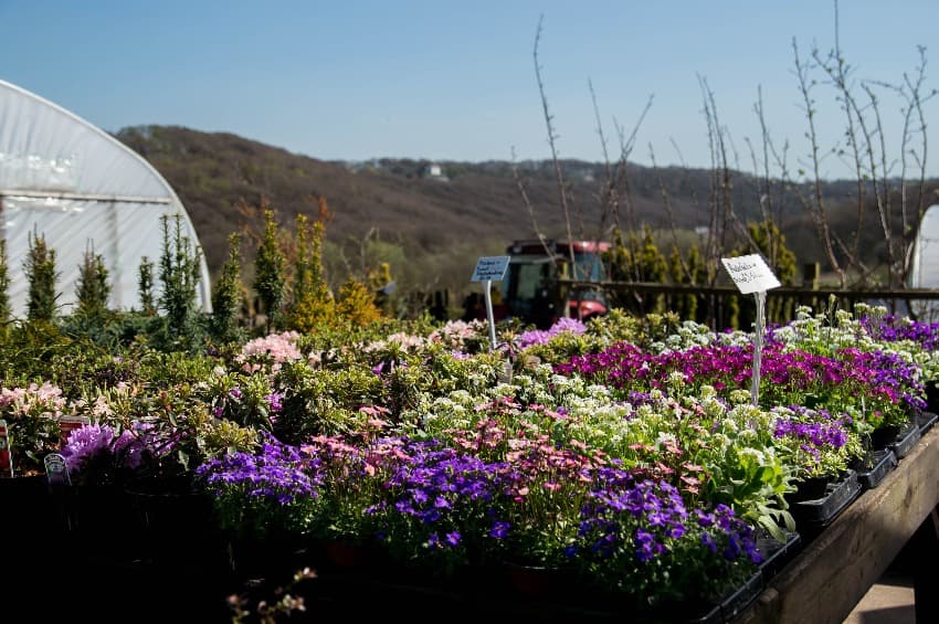 Whiteley's Farm - Family Attraction in leeds