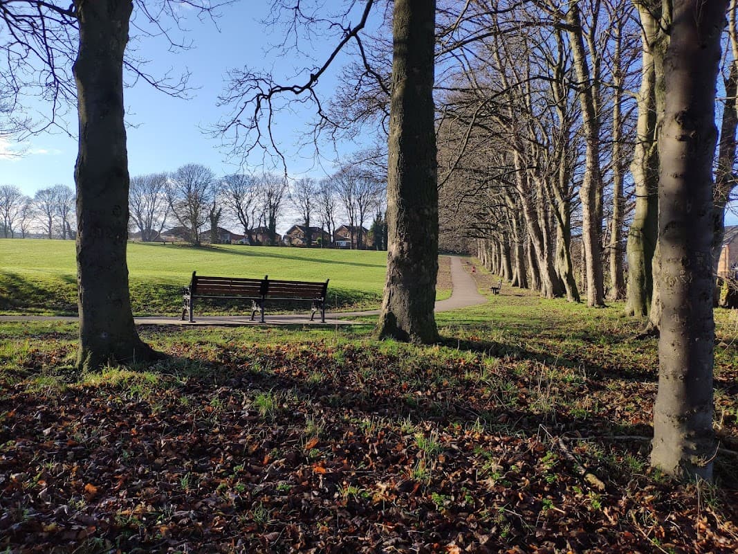 Benches under trees along a path in Farsley Recreation Ground, with a grassy area and houses in the background.