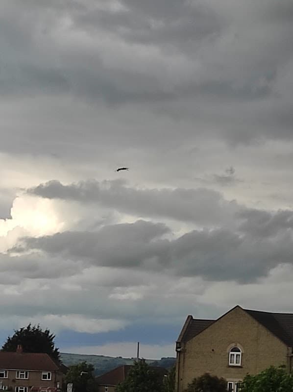 Queens Park Playground