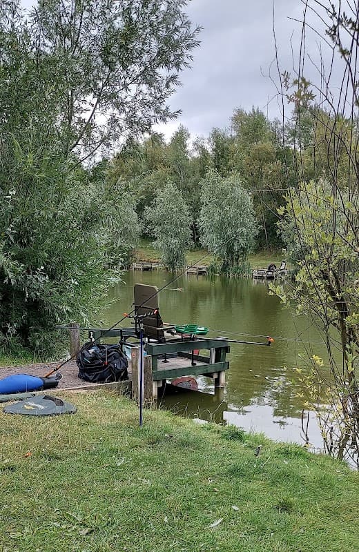 Ackton Pond and Nature Walk - Park in featherstone