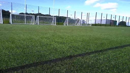 Green sports field with multiple soccer goals and a clear blue sky in the background.
