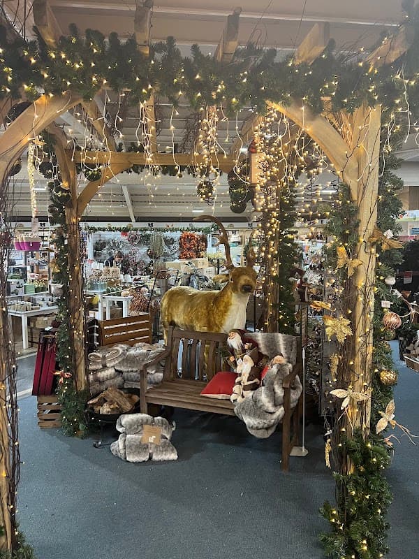 Notcutts Victoria - Homeware in featherstone