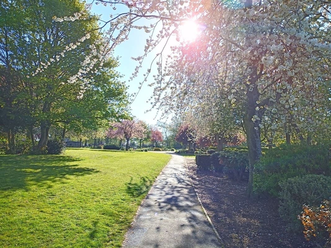 Sunlit pathway through Purston Park, surrounded by blooming trees and lush green grass.