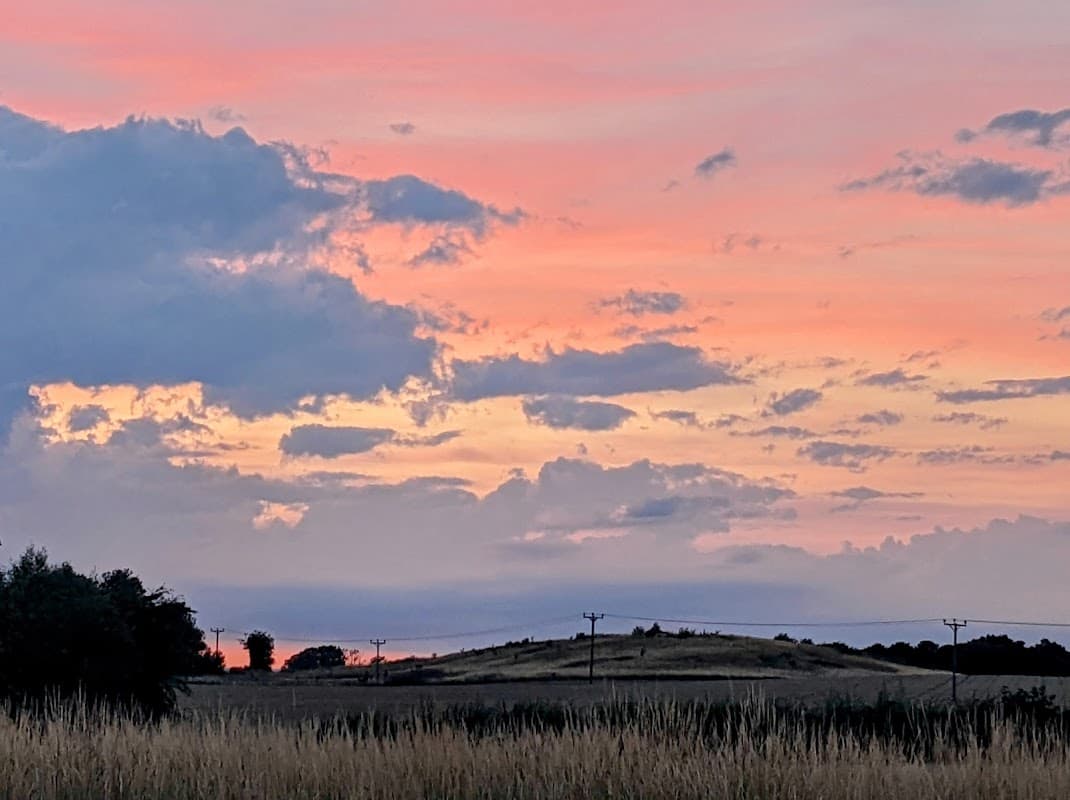 Vibrant sunset over rolling hills, silhouetted trees, and power lines, with golden fields in the foreground.
