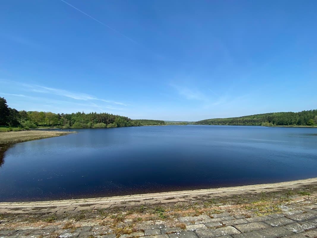 Serene reservoir surrounded by lush greenery under a clear blue sky, with calm waters reflecting the landscape.