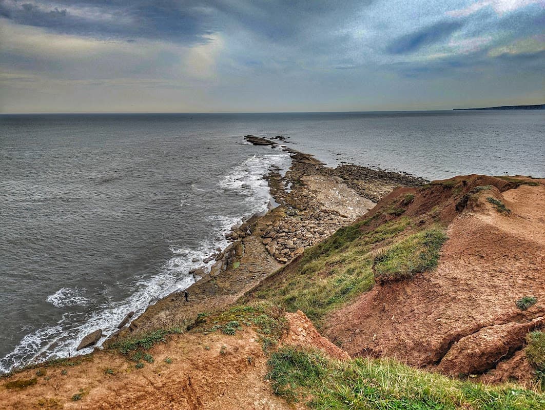 A rocky shoreline meets the sea under a cloudy sky, with grassy cliffs in the foreground.