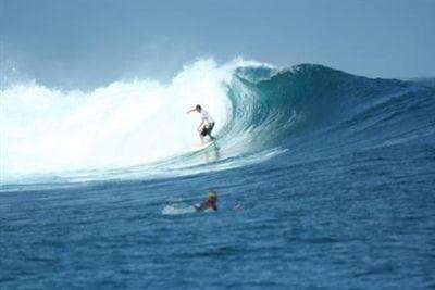 Fluid Concept Surf Shop & Surf School