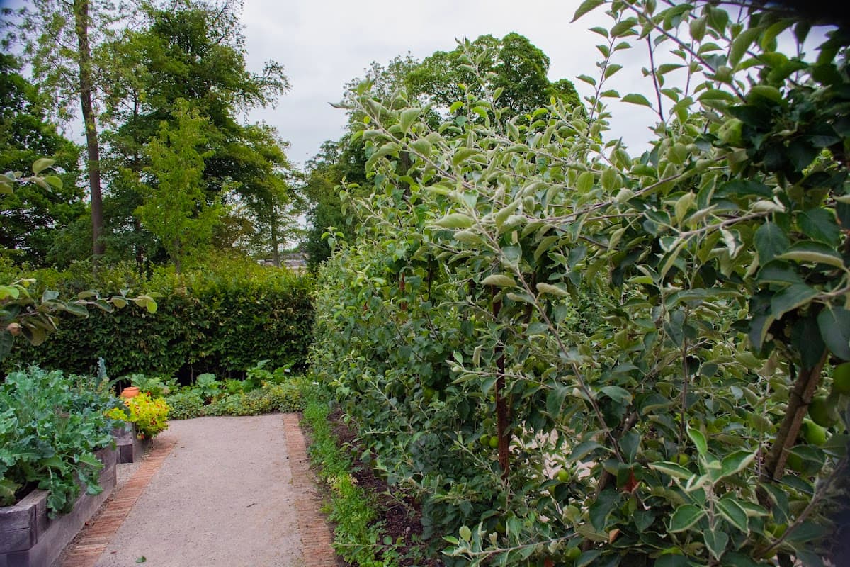 Lush garden path lined with apple trees and vibrant vegetable patches under a cloudy sky in Rudding Park.
