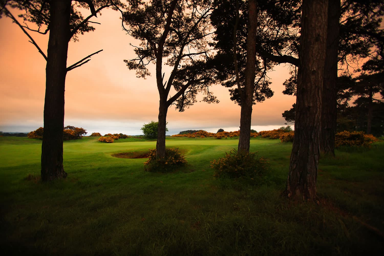 Ganton Golf Club - Golf Course in york
