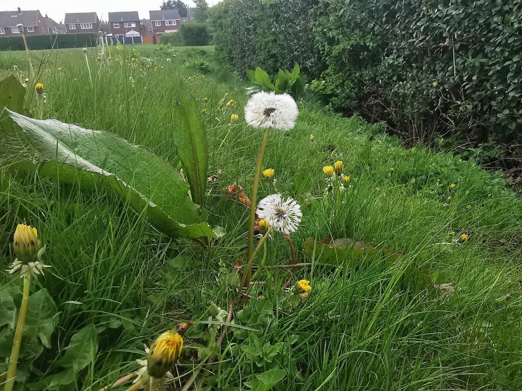 Barleyhill Road Park