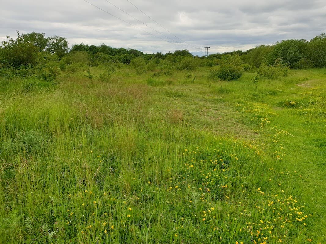 Hawk's Nest Wood LWS