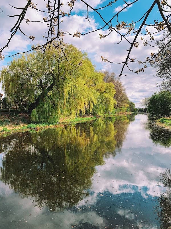 Lush greenery and willow trees reflect in a serene river under a blue sky with scattered clouds.