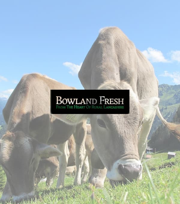 Cows grazing in a green field with a blue sky and mountains in the background; "Bowland Fresh" logo overlay.