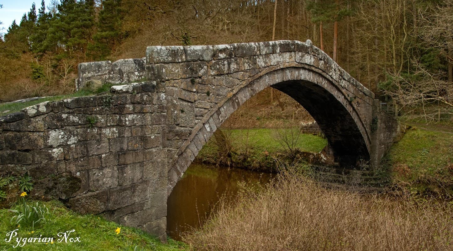 Stone arch bridge over a calm stream, surrounded by lush greenery and trees in Glaisdale, Yorkshire.