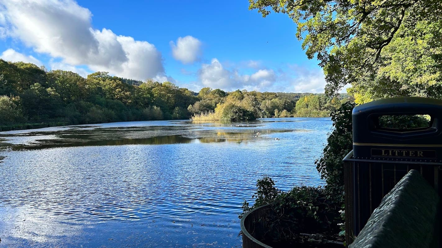 Serene lake surrounded by lush trees and blue skies, with gentle ripples reflecting clouds and distant greenery.