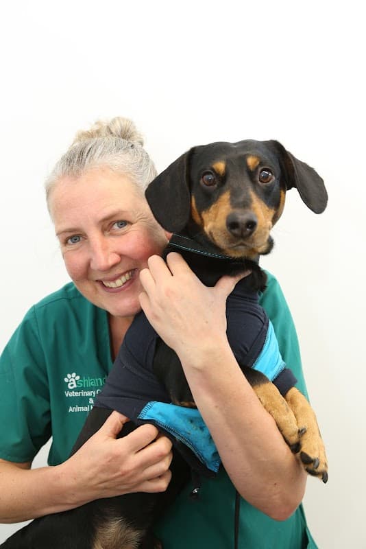 A smiling veterinary staff member holds a small dog wearing a blue harness against a plain white background.