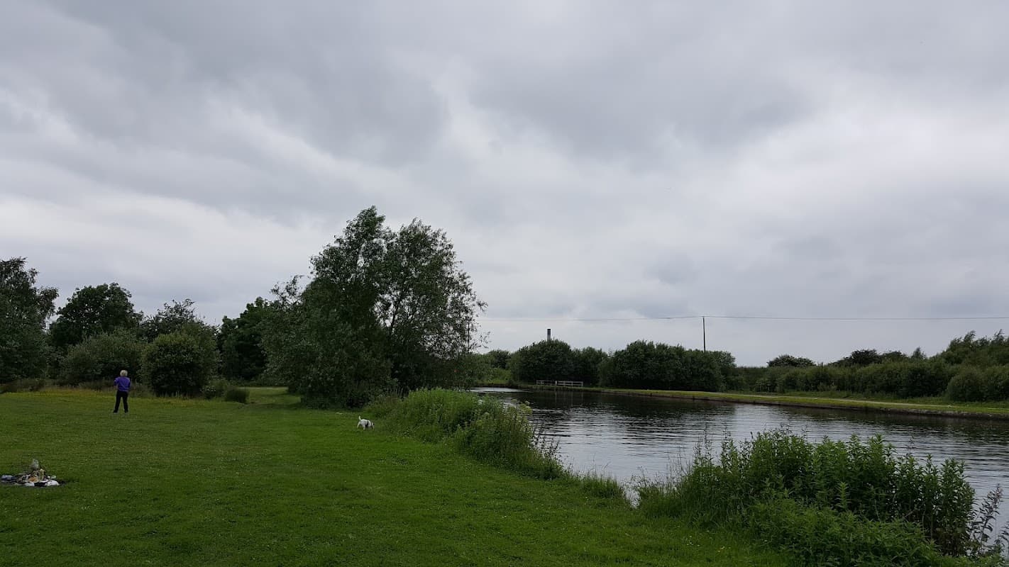 Lush green park with a river, trees, and a person walking a dog under a cloudy sky in Goole, Yorkshire.
