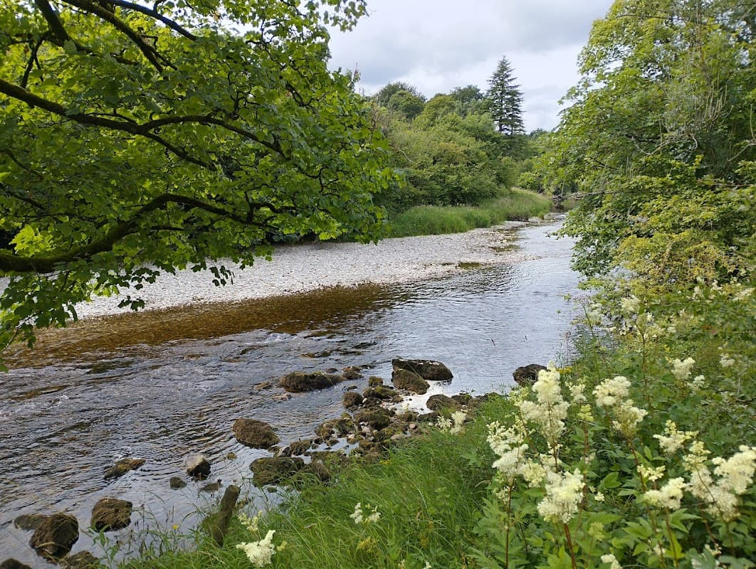 Grass Wood Nature Reserve - Nature Reserves in grassington