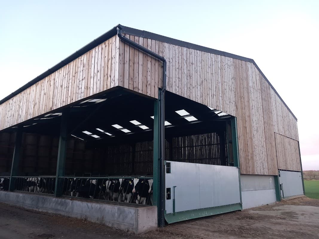 Large wooden barn with open sides, housing cows, set in a rural landscape in Great Edstone, Yorkshire.