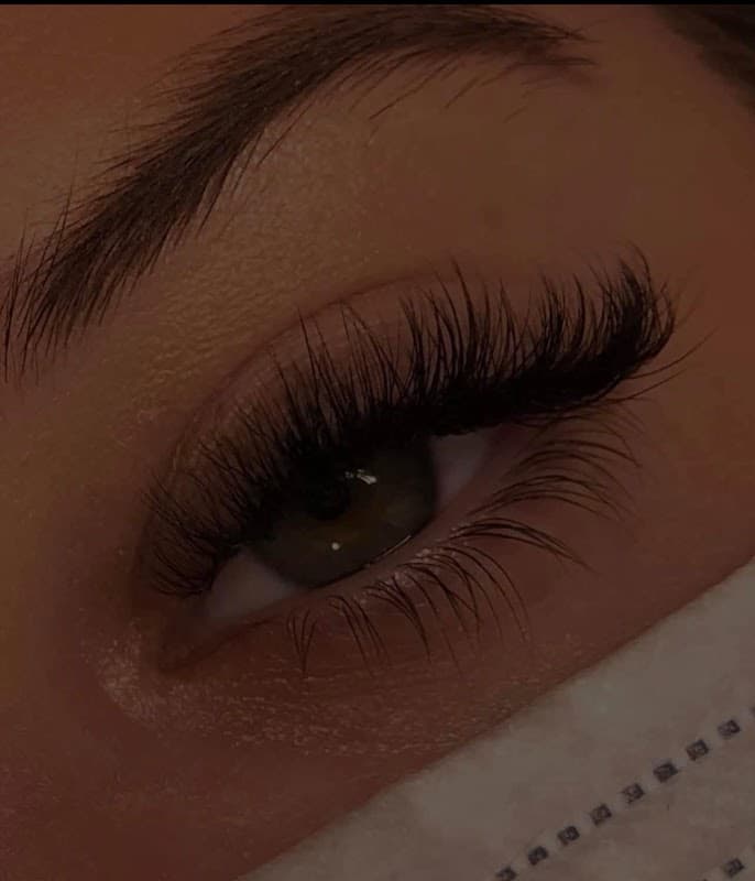 Close-up of a woman's eye showcasing long, voluminous eyelashes and a well-groomed eyebrow.