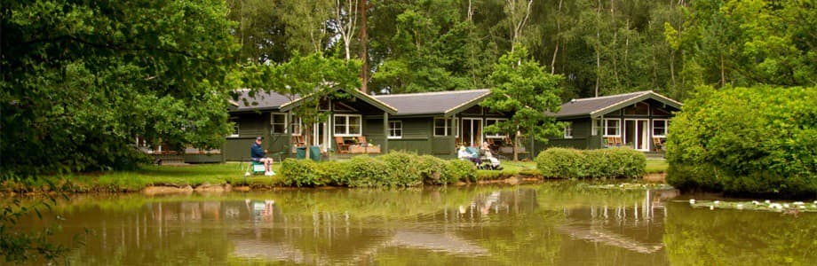 Great Wood Eco Lodges - Lodge in flaxton