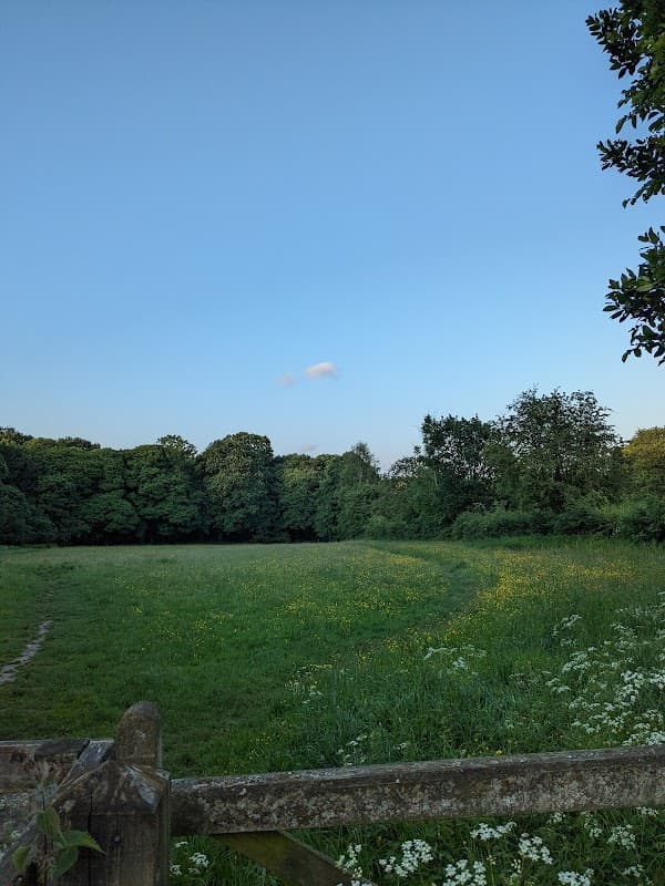 Beauchief Drive Open Space
