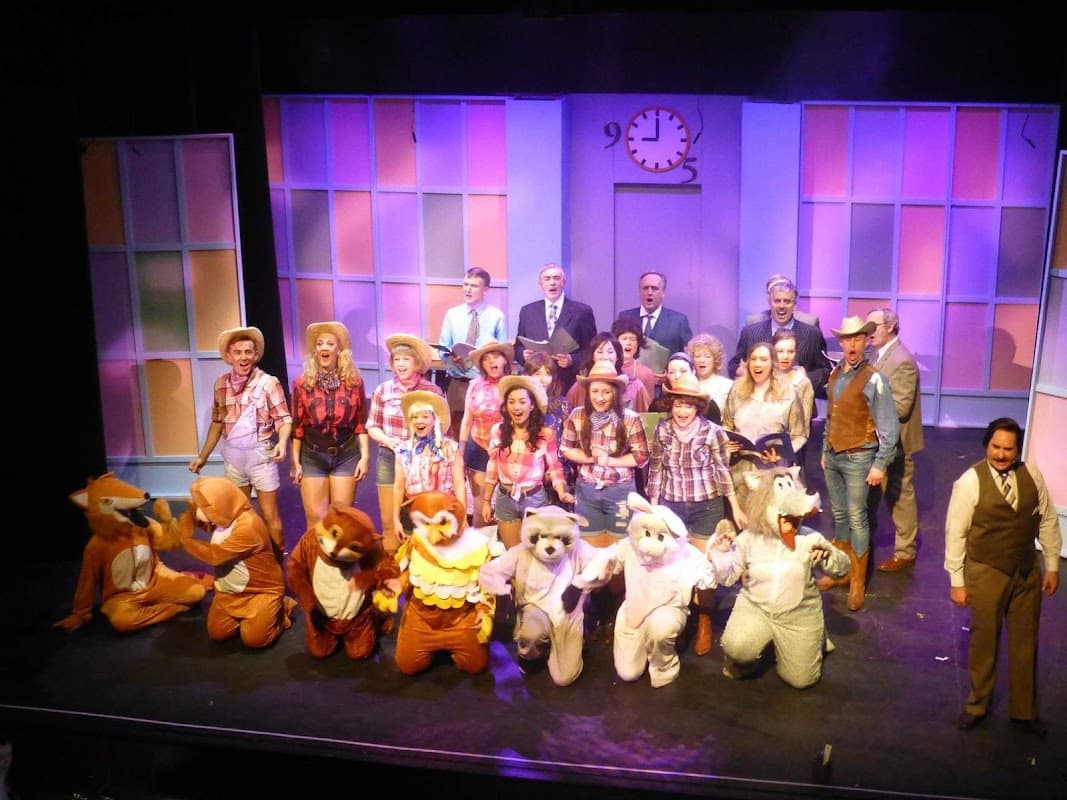 Ellesmere Musical Theatre Company - Theatre in greenhill