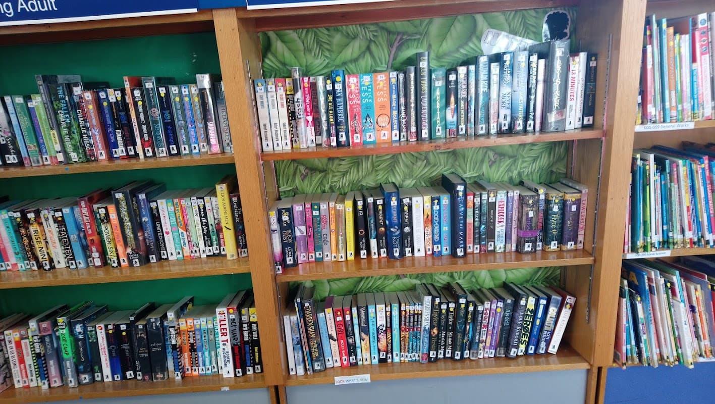 Bookshelves filled with various books and DVDs, featuring colorful spines and a green leafy backdrop.