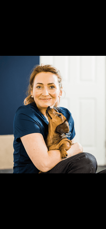 Sarah Edge Veterinary Physiotherapy - Physiotherapists in greenhill