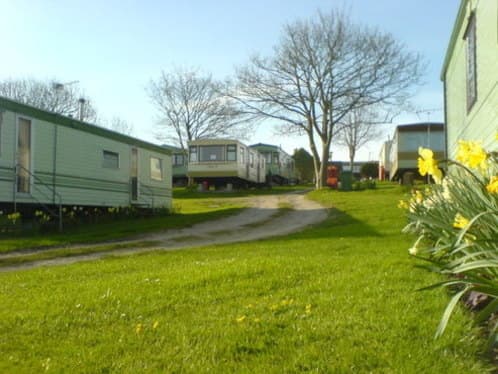 Caravan park with green grass, blooming daffodils, and several caravans under a clear blue sky in Gristhorpe, Yorkshire.