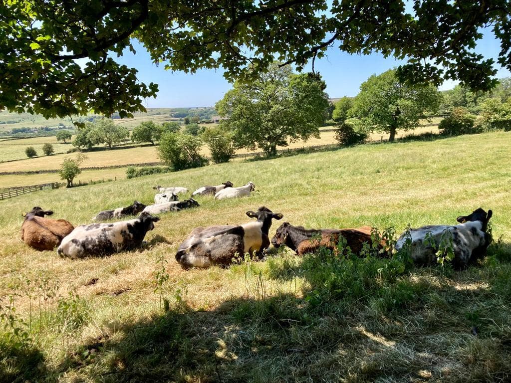 The Railway Children Nursery Hawksworth - Nurseries in guiseley