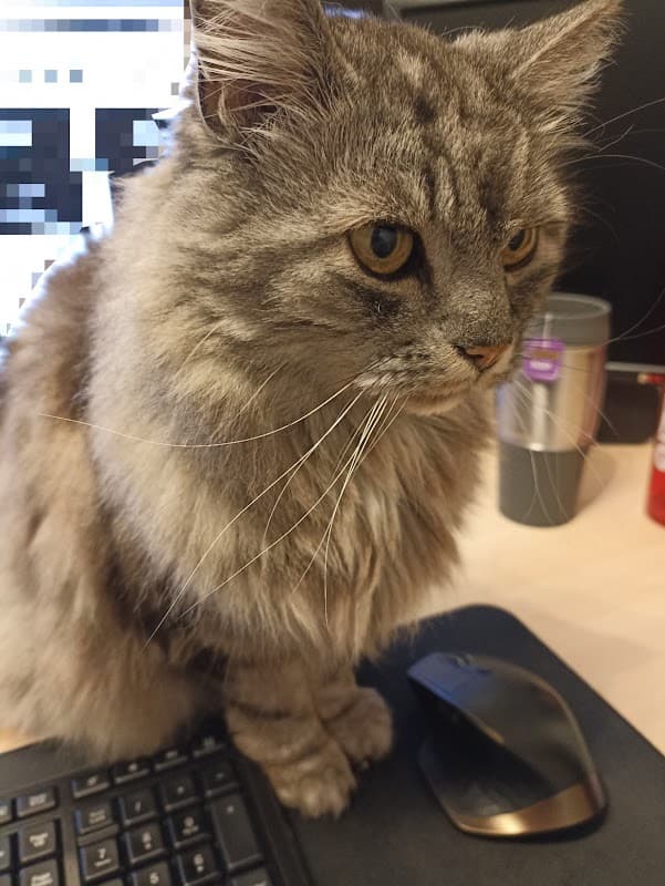 Tweed House Vets - Vets in guiseley