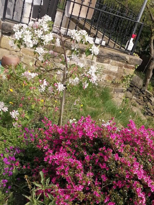 Angela Viney Conveyancing Services - Solicitors in halifax