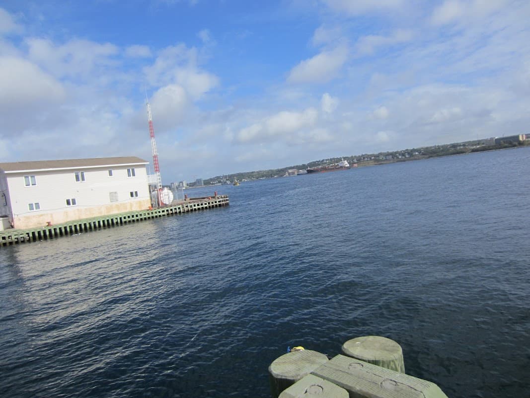 Cruise Master - Travel Agents in halifax