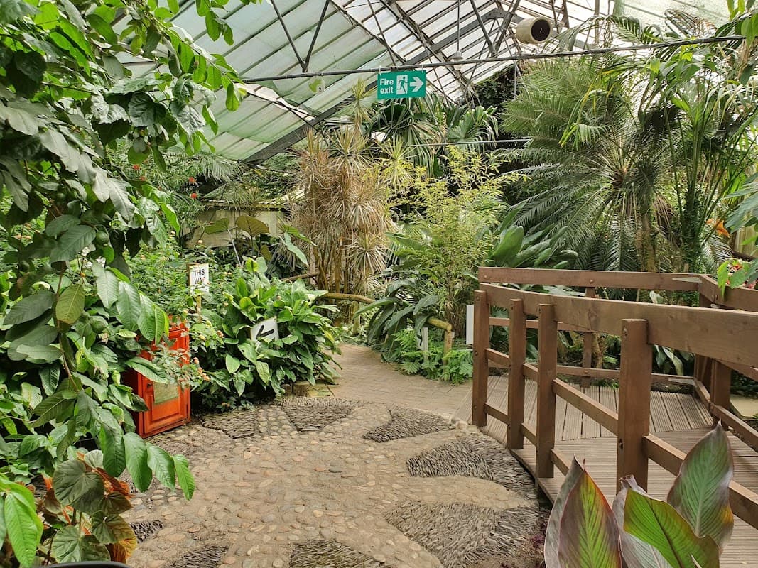 Manor Heath Jungle Experience - Attraction in halifax