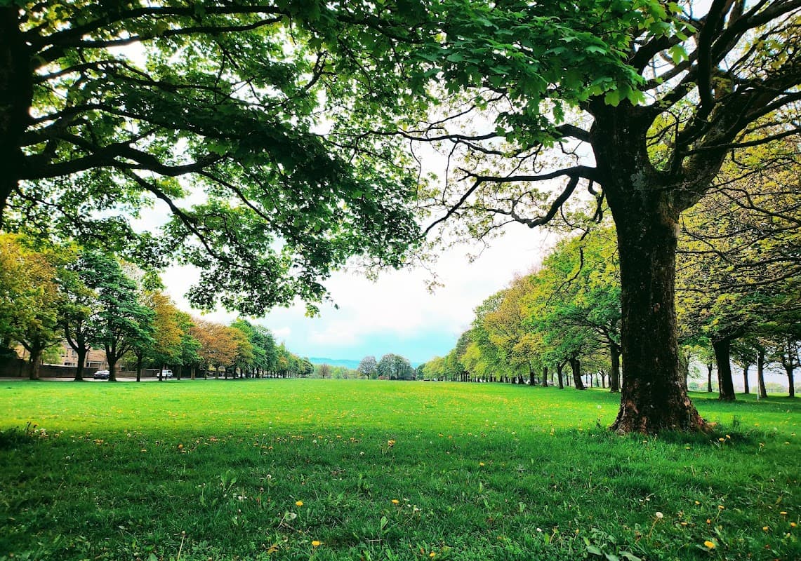Savile Park Moor - Park in halifax