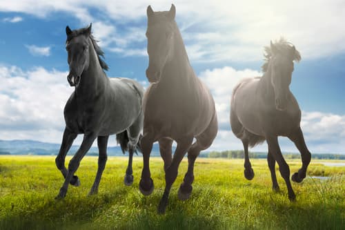 UK Insurance Solutions Ltd - Insurance in halifax