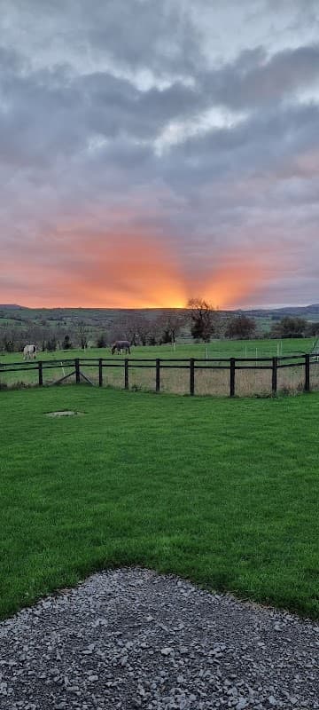 Sunset over green fields at Brookfield Farm, with horses grazing near a wooden fence in Harmby, Yorkshire.