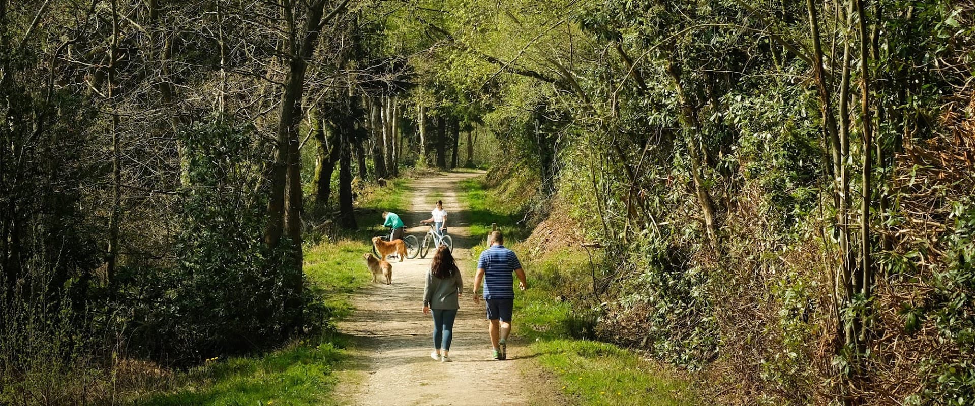 Couple walking along a forest path, with a dog and a stroller, surrounded by lush greenery in Yorkshire.