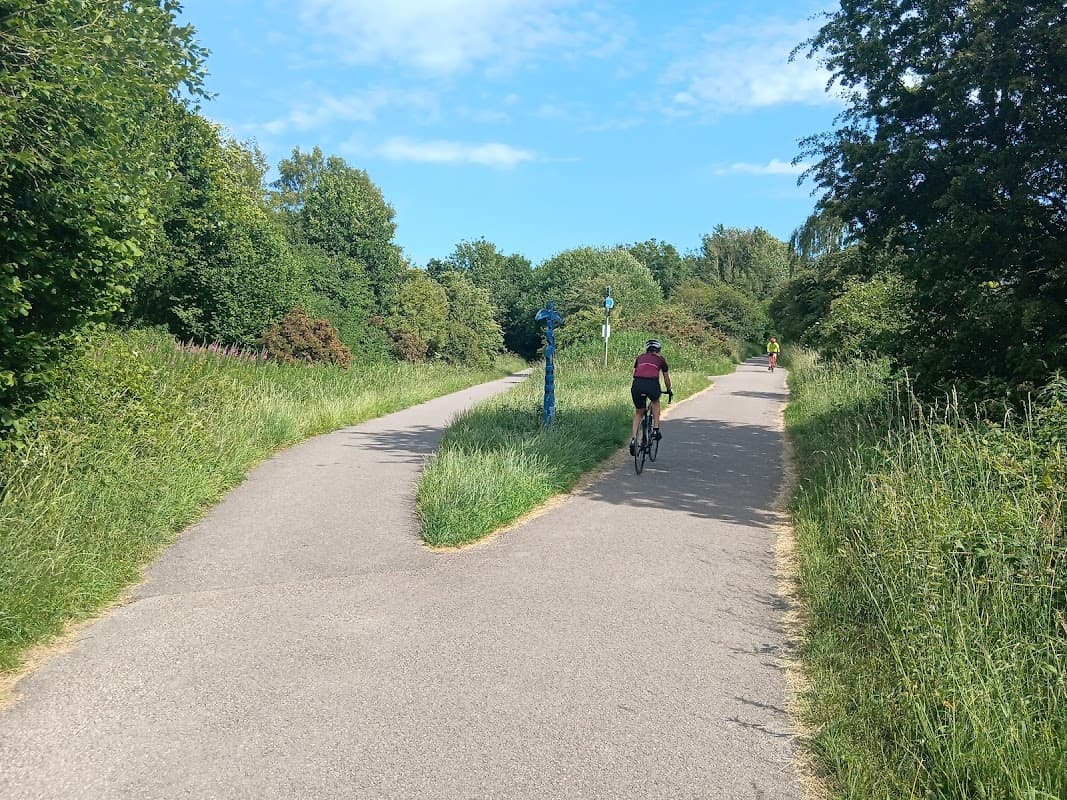 Two paths diverge in a green area, with a cyclist on one path and trees and bushes lining the route.