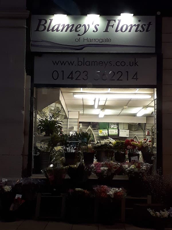 Storefront of Blamey's Florist, featuring a variety of flowers and plants displayed outside and a lit interior.