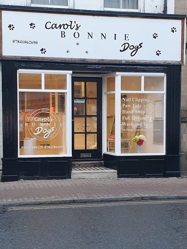 Signage for "Carol's Bonnie Dogs Grooming" with services listed in windows, located in Harrogate, Yorkshire.