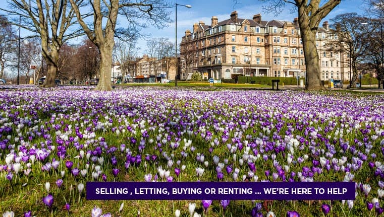 Carter Jonas - Estate Agents in harrogate