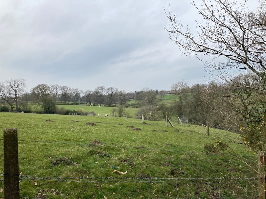 Lush green fields with scattered trees and a cloudy sky, featuring a fence and distant horses grazing.