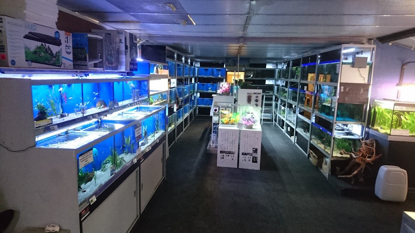 Aquatic pet shop interior with illuminated fish tanks, shelves filled with aquarium supplies, and a spacious layout.