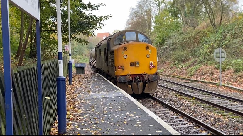 A yellow train at a station surrounded by trees and autumn leaves in Hornbeam Park, Harrogate.