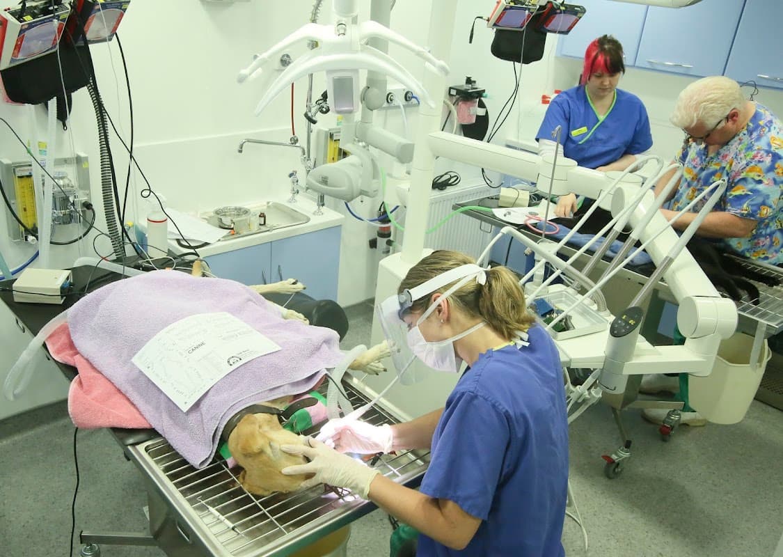 Medivet Harrogate Oak Beck Way - Vets in harrogate