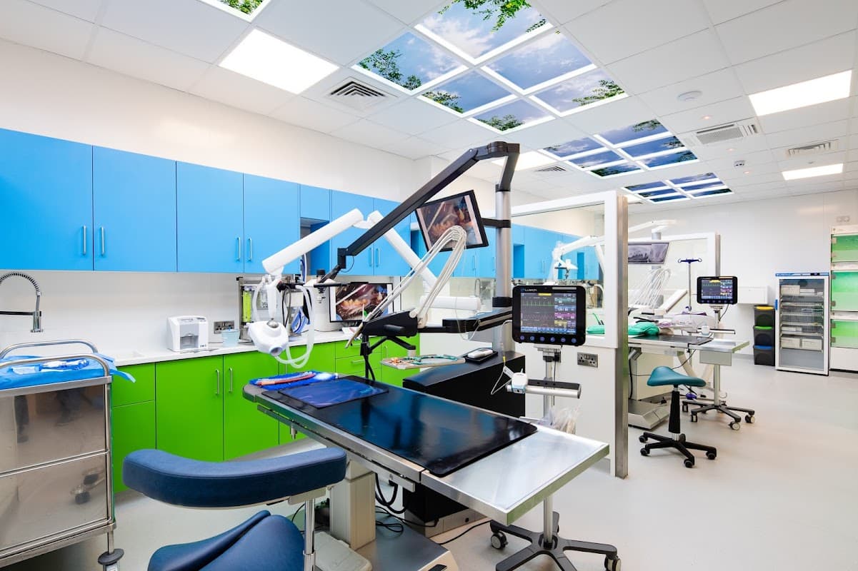 Vet Dentist - Vets in harrogate