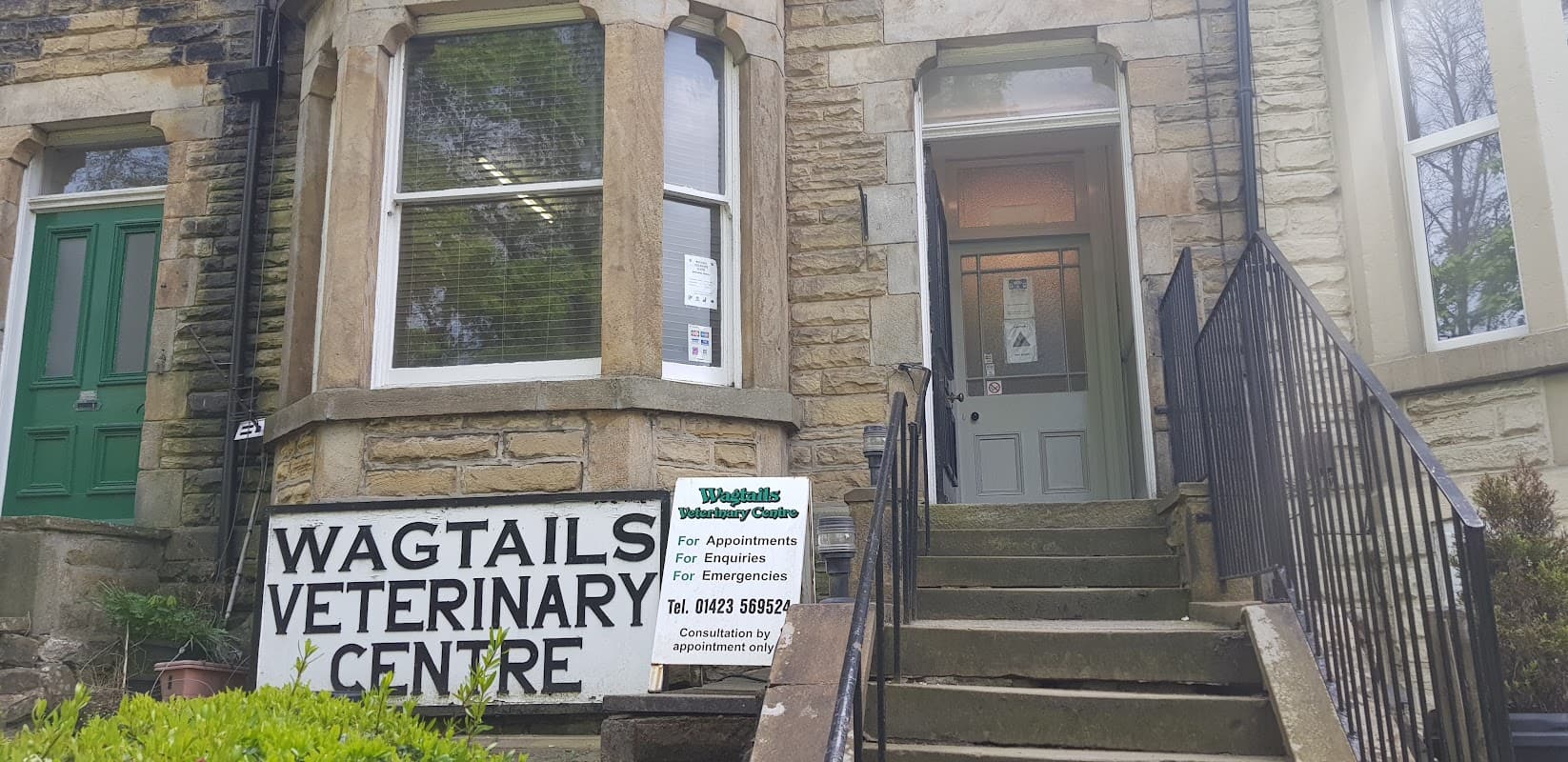 Wagtails Veterinary Centre - Vets in harrogate